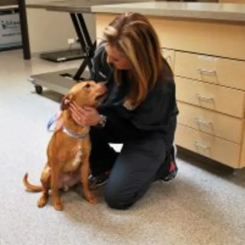 Animal Care Center of Polaris staff member kneeling and petting a dog